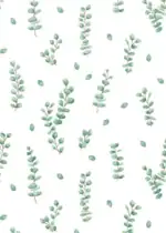 Teacher Created Resources Eucalyptus Better Than Paper Bulletin Board Roll – Image 2