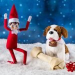 The Elf on the Shelf Elf Pets 2 Pack: St. Bernard Tradition and Reindeer Tradition - Image 5