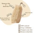 DOVE Indulge in Luxurious Showers Body Wash 3 Pack - Mixed within Available Kind - 500 ML or 16.9 Fl Oz with a Free Natural Loofah | Pure Shower Bliss - Image 7