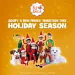 The Elf on the Shelf: A Christmas Tradition - Boy Scout Elf with Brown Eyes - Image 4