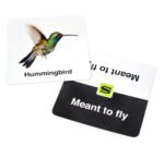 TENZI SLAPZI – Image 6