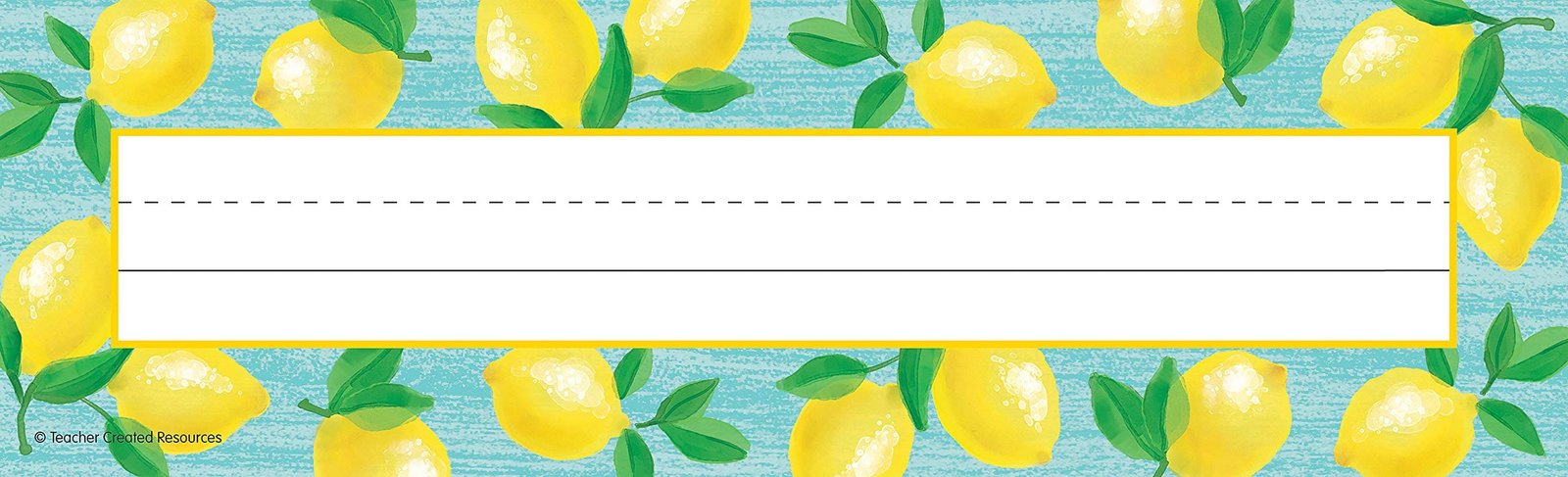 Teacher Created Resources Lemon Zest Flat Name Plates, 11.5" x 3.5" - Pack of 36