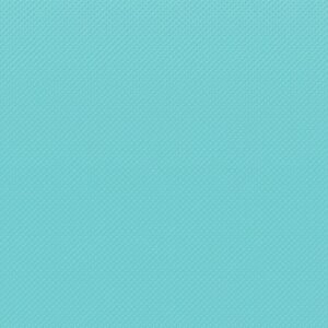 Everyday household item