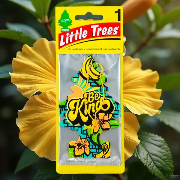 LITTLE TREES Air Fresheners Be Kind